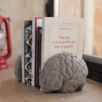 Brain Bookends ( Set of 2)